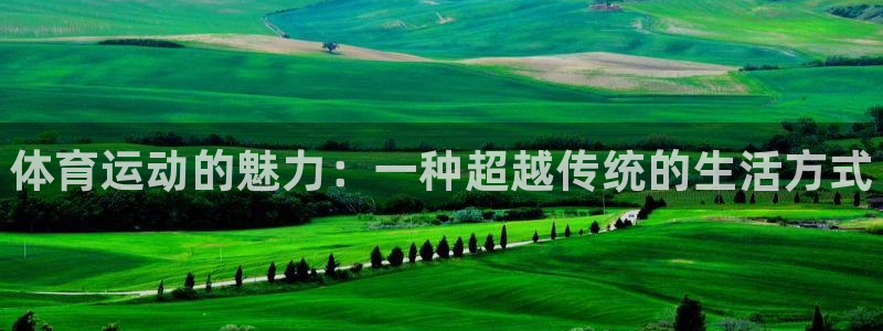 3377体育官方正版app集团官网首页网址:体育运动的魅力: