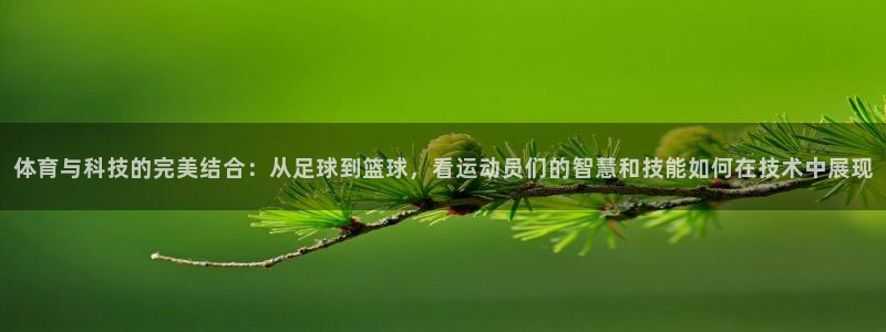 3377体育官网下载官方客服电话:体育与科技的完美结合:从足