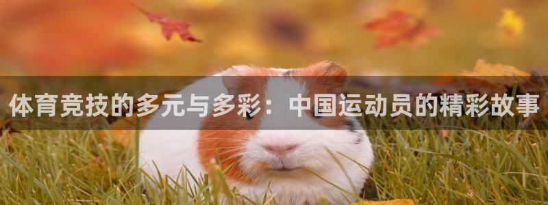 3377体育官网下载招商电话号码是多少:体育竞技的多元与多彩