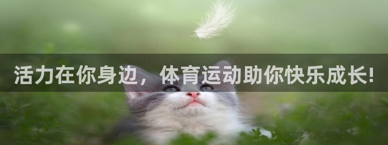 3377体育官网下载招商电话号码是多少啊:活力在你身边,体育